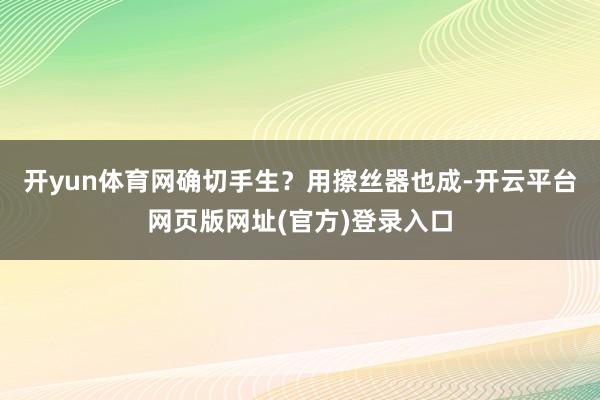开yun体育网确切手生？用擦丝器也成-开云平台网页版网址(官方)登录入口
